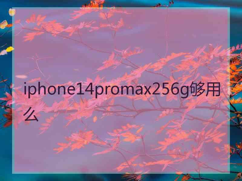 iphone14promax256g够用么 iphone14promax256g够用么