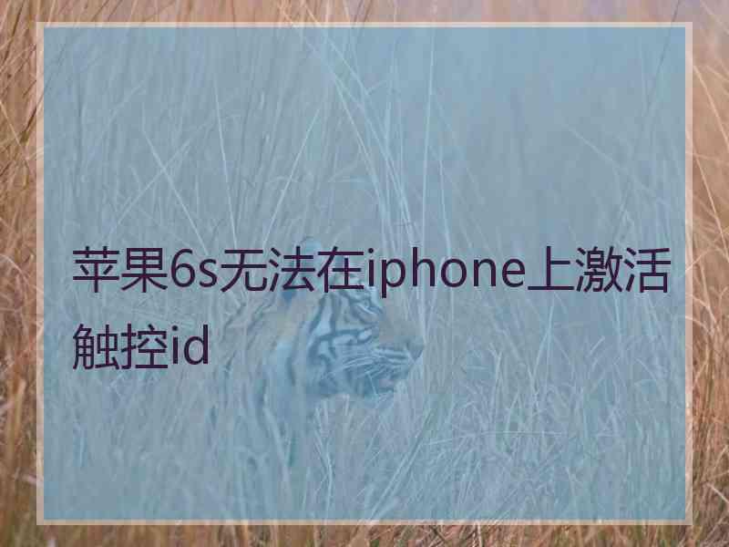 苹果6s无法在iphone上激活触控id 苹果6s无法在iphone上激活触控id
