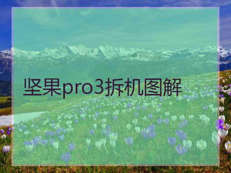 坚果pro3拆机图解 坚果pro3拆机图解