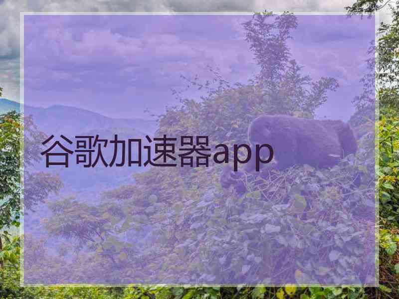 谷歌加速器app 谷歌加速器app