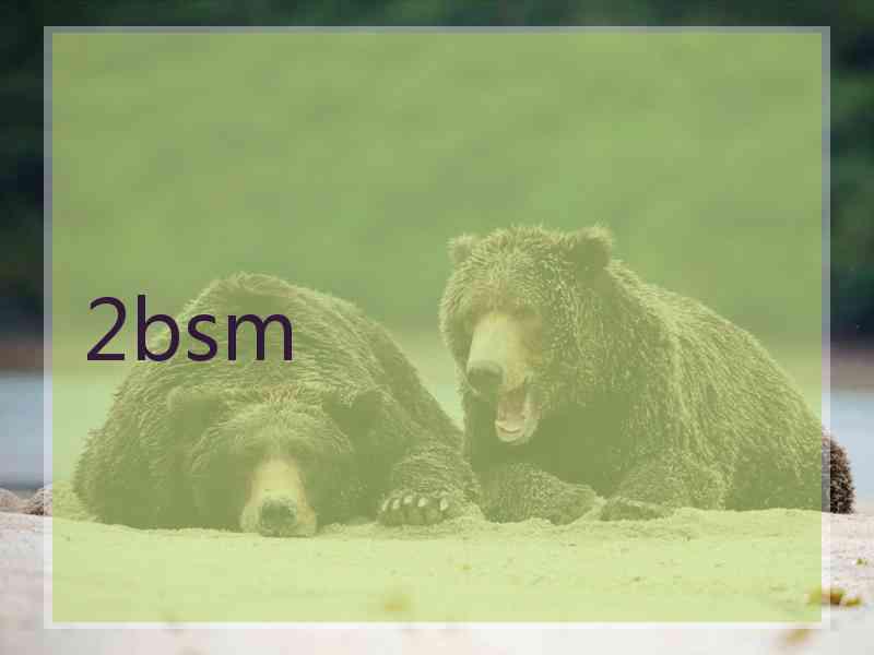 2bsm 2bsm