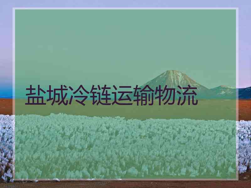 盐城冷链运输物流 盐城冷链运输物流