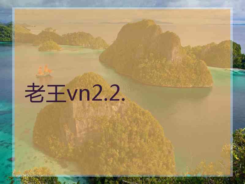 老王vn2.2. 老王vn2.2.