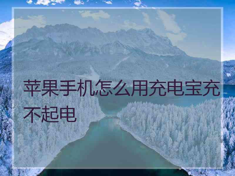 苹果手机怎么用充电宝充不起电 苹果手机怎么用充电宝充不起电