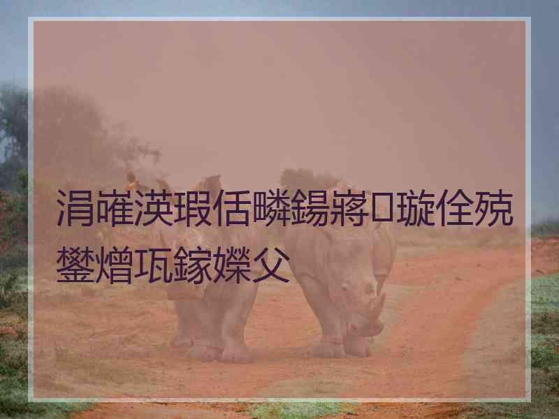 涓嶉渶瑕佸疄鍚嶈璇佺殑鐢熷瓨鎵嬫父 涓嶉渶瑕佸疄鍚嶈璇佺殑鐢熷瓨鎵嬫父