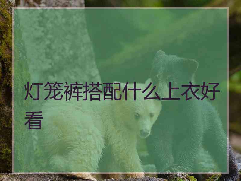 灯笼裤搭配什么上衣好看 灯笼裤搭配什么上衣好看