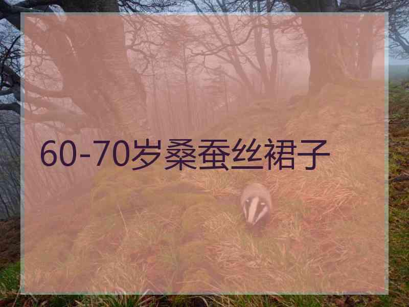 60-70岁桑蚕丝裙子 60-70岁桑蚕丝裙子