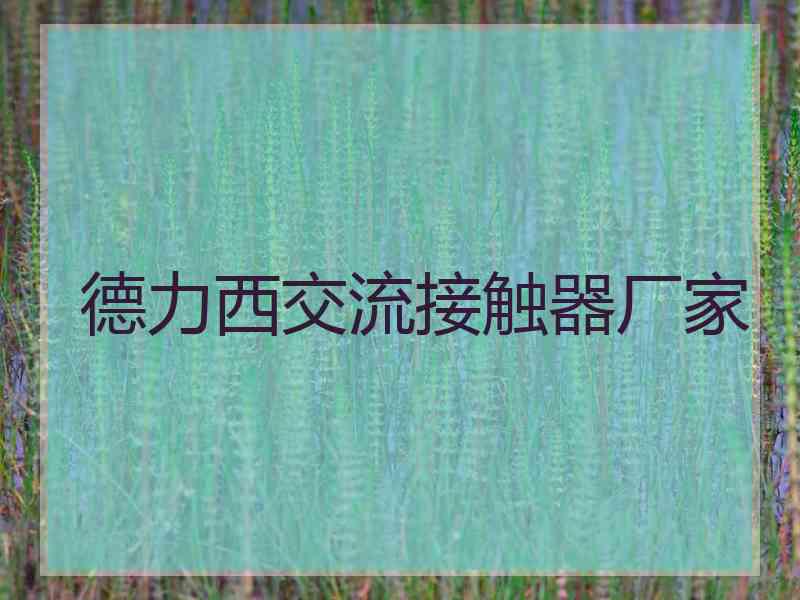 德力西交流接触器厂家 德力西交流接触器厂家