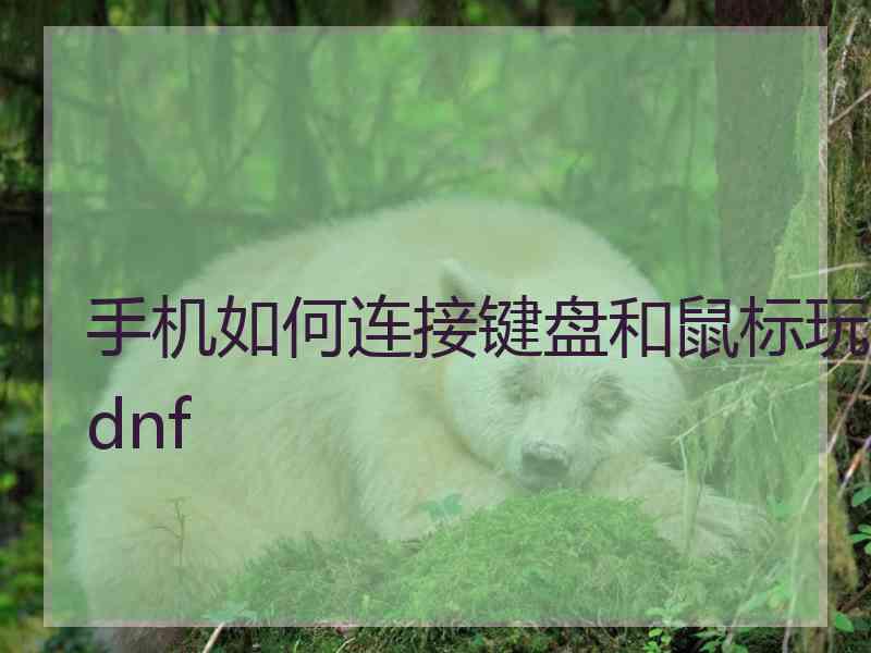 手机如何连接键盘和鼠标玩dnf 手机如何连接键盘和鼠标玩dnf