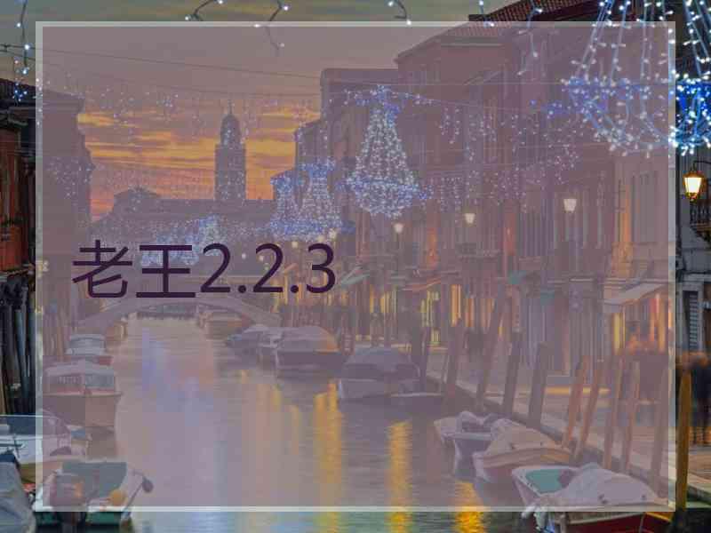 老王2.2.3 老王2.2.3