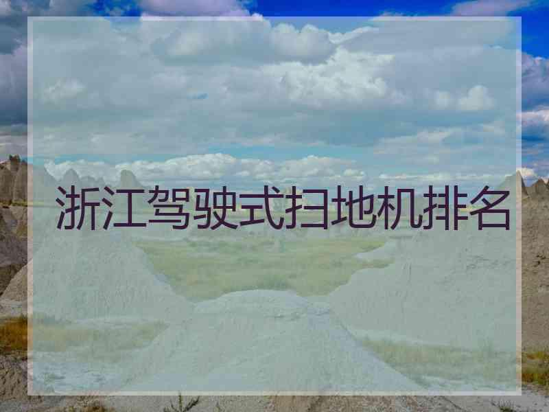 浙江驾驶式扫地机排名 浙江驾驶式扫地机排名