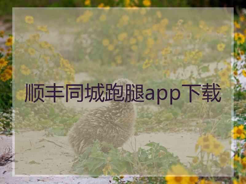 顺丰同城跑腿app下载 顺丰同城跑腿app下载