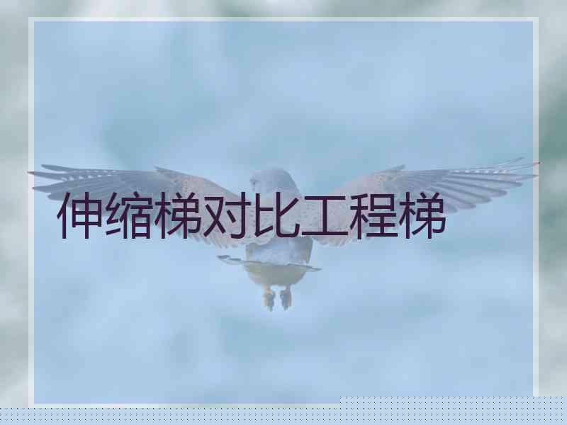 伸缩梯对比工程梯 伸缩梯对比工程梯