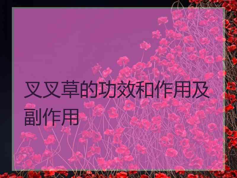 叉叉草的功效和作用及副作用 叉叉草的功效和作用及副作用