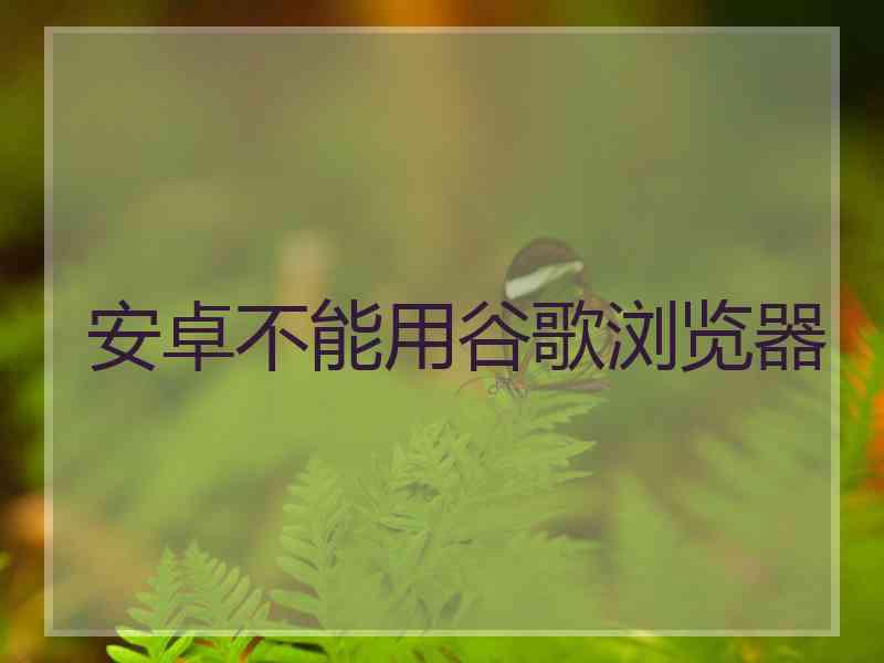 安卓不能用谷歌浏览器 安卓不能用谷歌浏览器