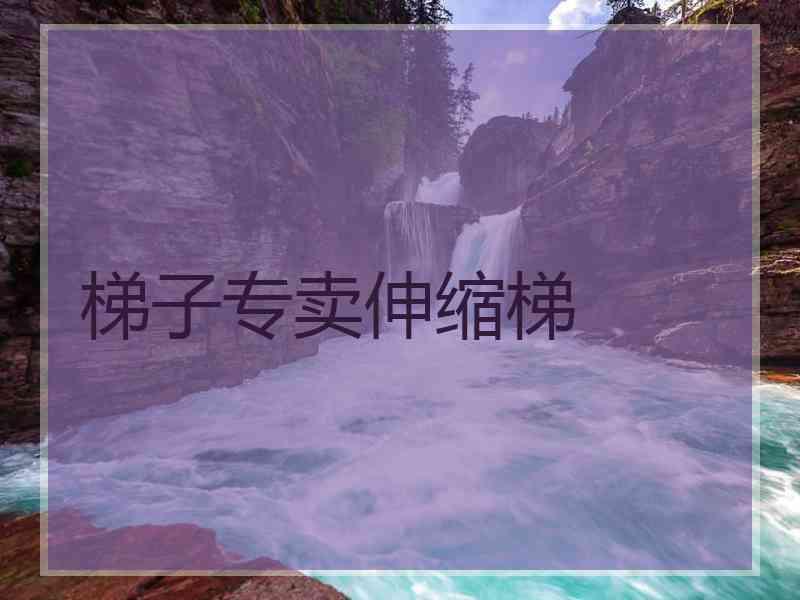 梯子专卖伸缩梯 梯子专卖伸缩梯