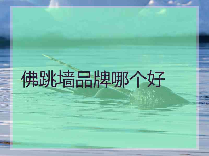 佛跳墙品牌哪个好 佛跳墙品牌哪个好