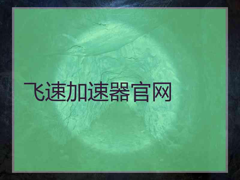 飞速加速器官网 飞速加速器官网