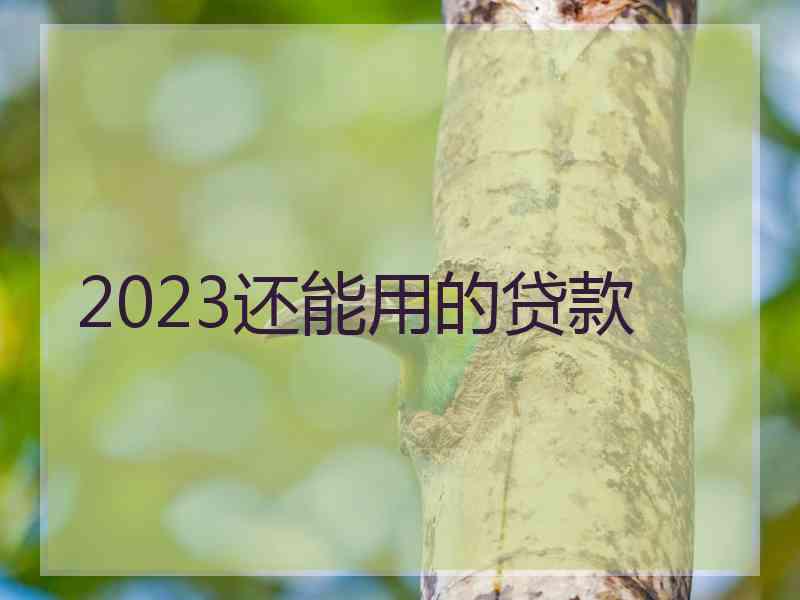 2023还能用的贷款 2023还能用的贷款