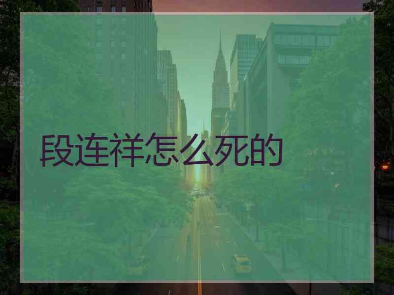 段连祥怎么死的 段连祥怎么死的