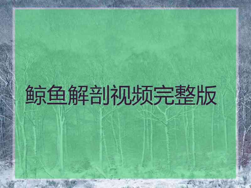 鲸鱼解剖视频完整版 鲸鱼解剖视频完整版