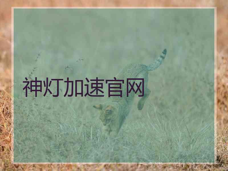 神灯加速官网 神灯加速官网