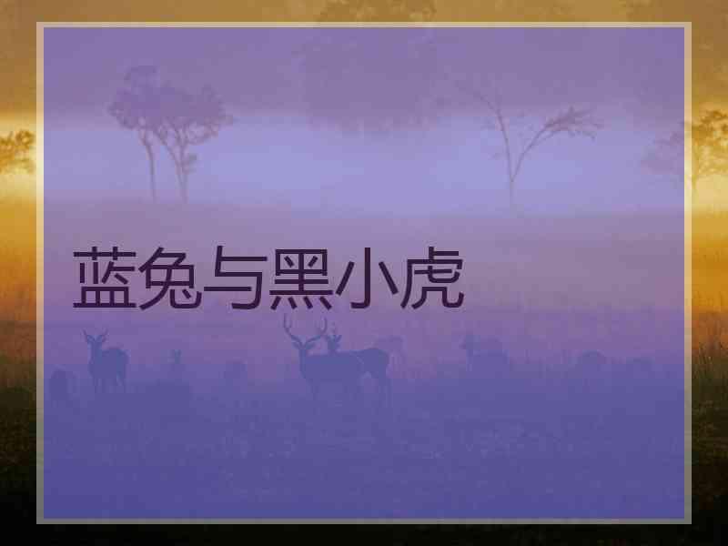 蓝兔与黑小虎 蓝兔与黑小虎
