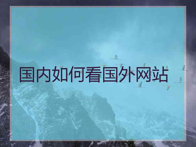 国内如何看国外网站 国内如何看国外网站