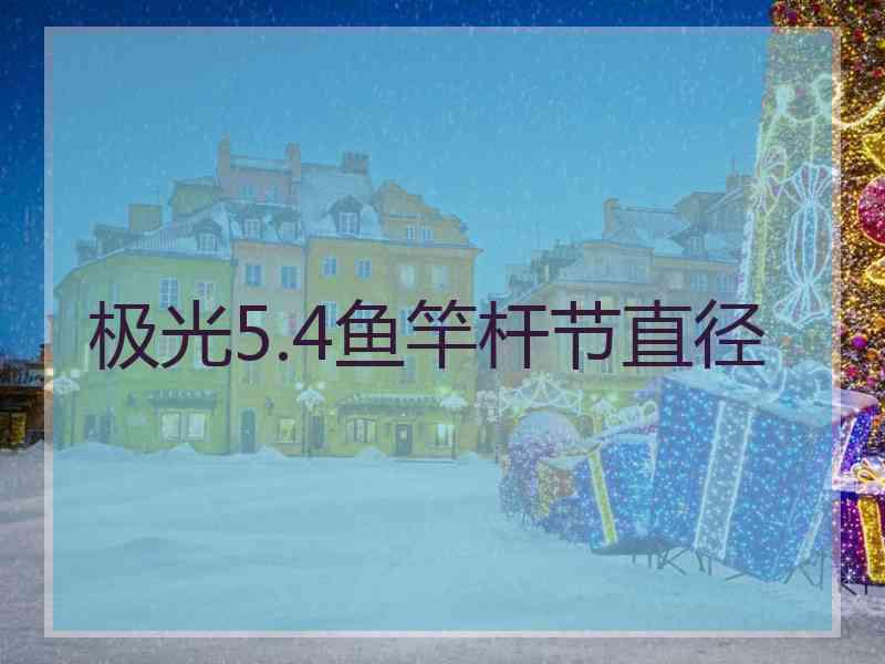 极光5.4鱼竿杆节直径 极光5.4鱼竿杆节直径