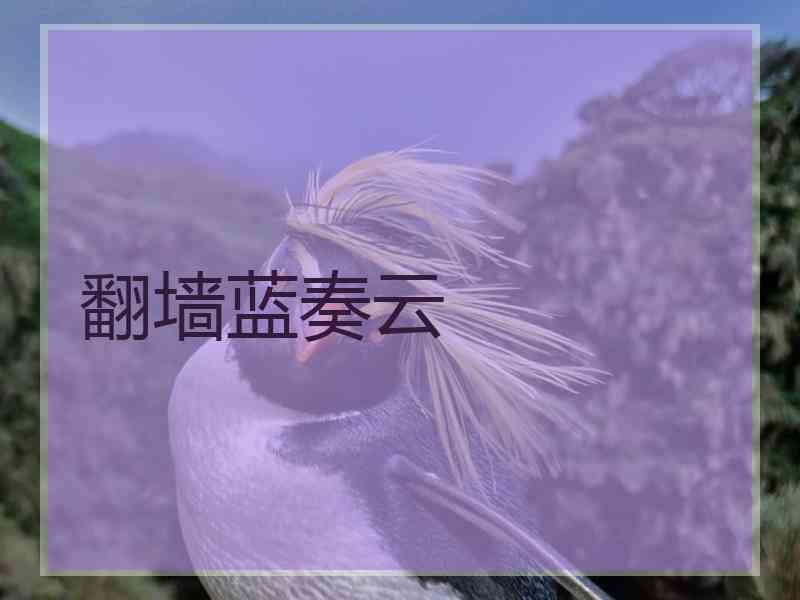 翻墙蓝奏云 翻墙蓝奏云