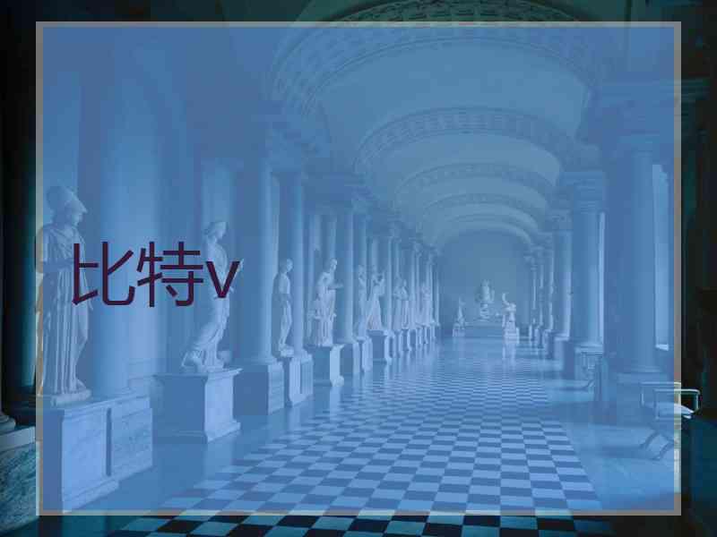 比特v 比特v