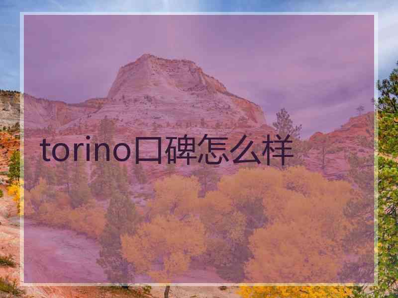 torino口碑怎么样 torino口碑怎么样