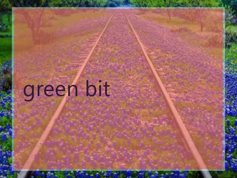 green bit green bit