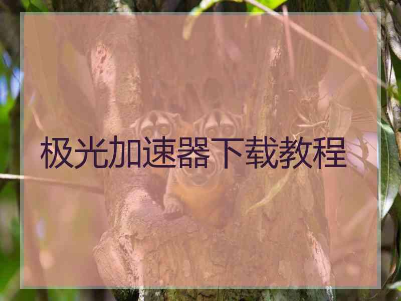 极光加速器下载教程 极光加速器下载教程