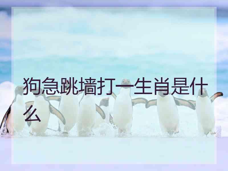 狗急跳墙打一生肖是什么 狗急跳墙打一生肖是什么