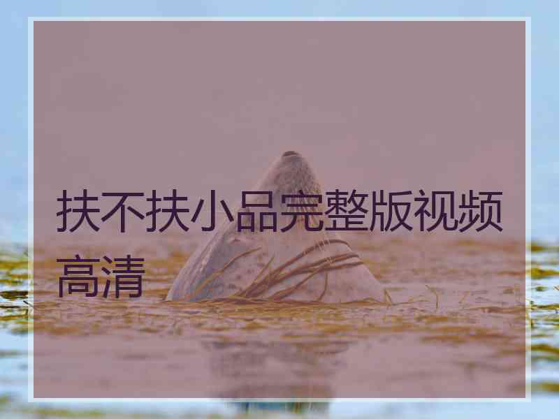 扶不扶小品完整版视频高清 扶不扶小品完整版视频高清