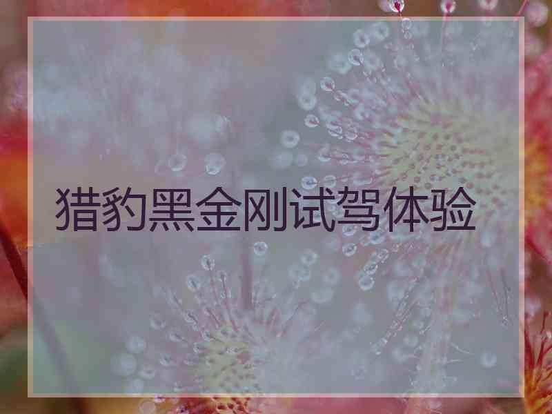 猎豹黑金刚试驾体验 猎豹黑金刚试驾体验