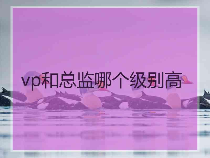 vp和总监哪个级别高 vp和总监哪个级别高