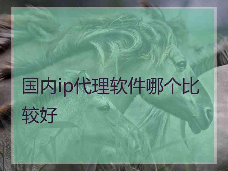 国内ip代理软件哪个比较好 国内ip代理软件哪个比较好