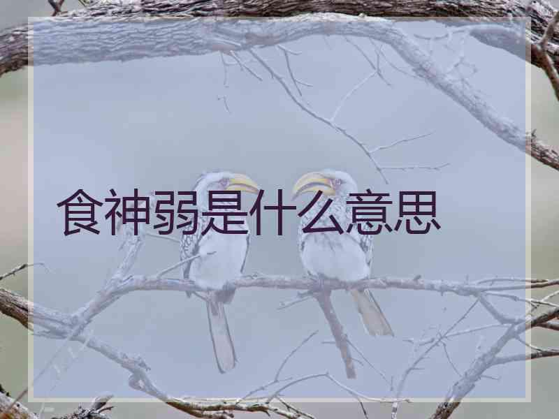 食神弱是什么意思 食神弱是什么意思