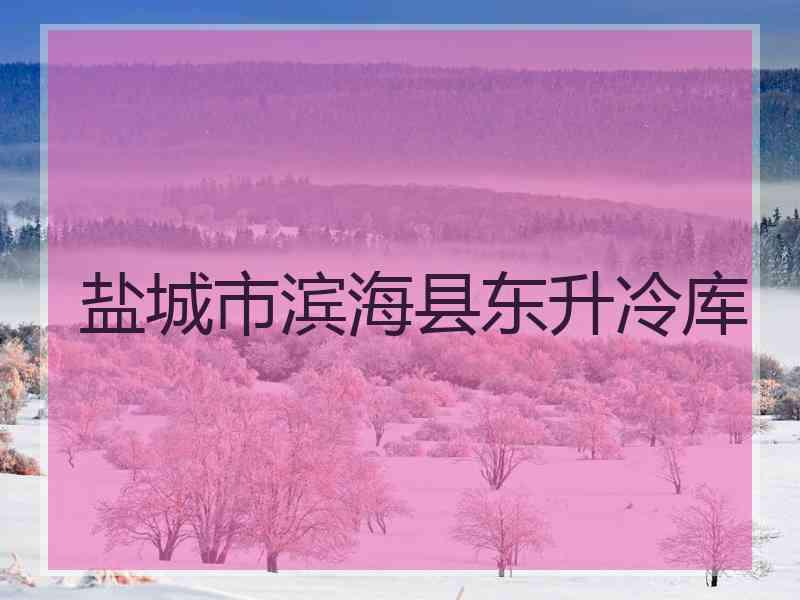 盐城市滨海县东升冷库 盐城市滨海县东升冷库