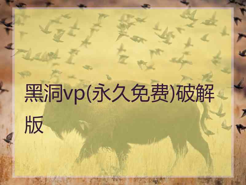 黑洞vp(永久免费)破解版 黑洞vp(永久免费)破解版