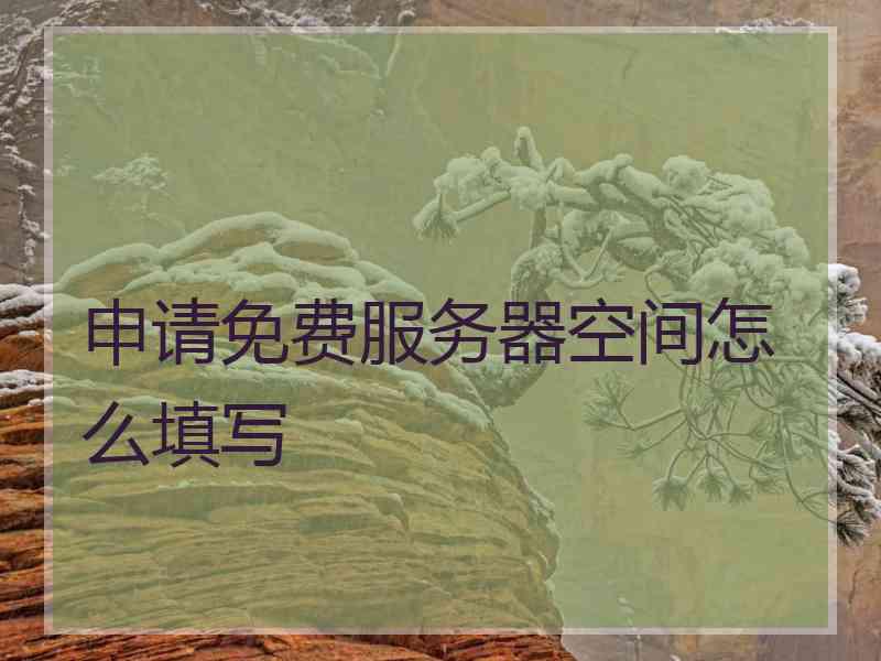 申请免费服务器空间怎么填写 申请免费服务器空间怎么填写