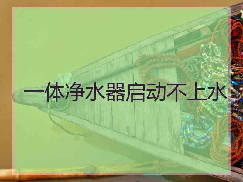 一体净水器启动不上水 一体净水器启动不上水