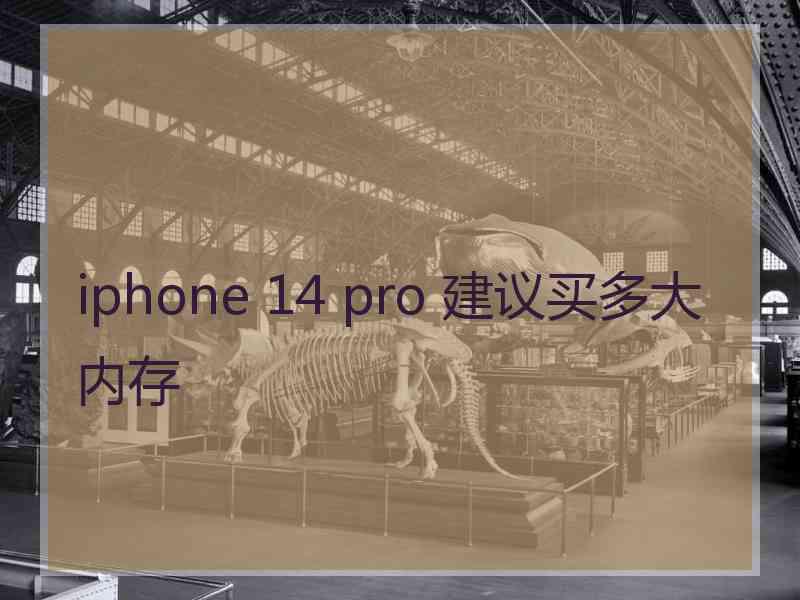 iphone 14 pro 建议买多大内存 iphone 14 pro 建议买多大内存