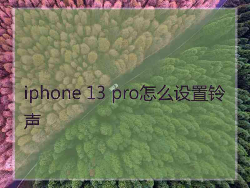 iphone 13 pro怎么设置铃声 iphone 13 pro怎么设置铃声
