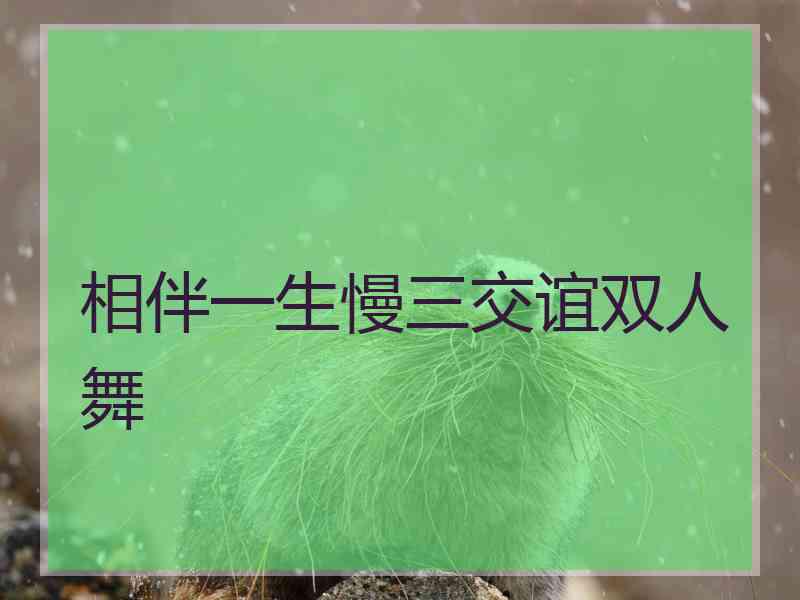 相伴一生慢三交谊双人舞 相伴一生慢三交谊双人舞