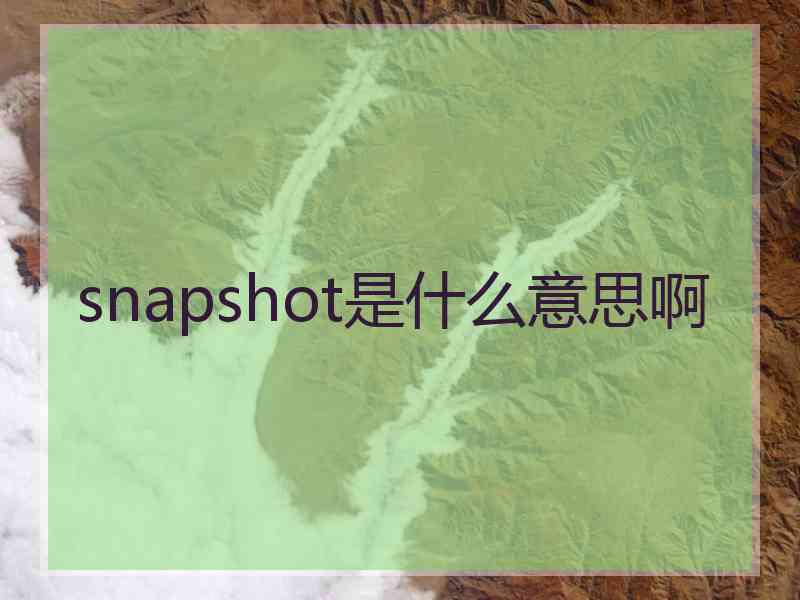 snapshot是什么意思啊 snapshot是什么意思啊
