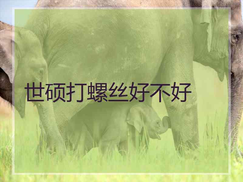 世硕打螺丝好不好 世硕打螺丝好不好