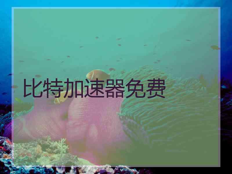 比特加速器免费 比特加速器免费